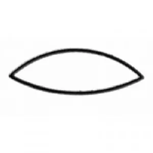 Diamant-Nadelfeile Vogelzunge